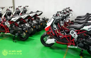 xemaynhap italjet dragster 300DSC05369