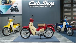 Ly do xe may dien chua phu hop tai Viet Nam 10